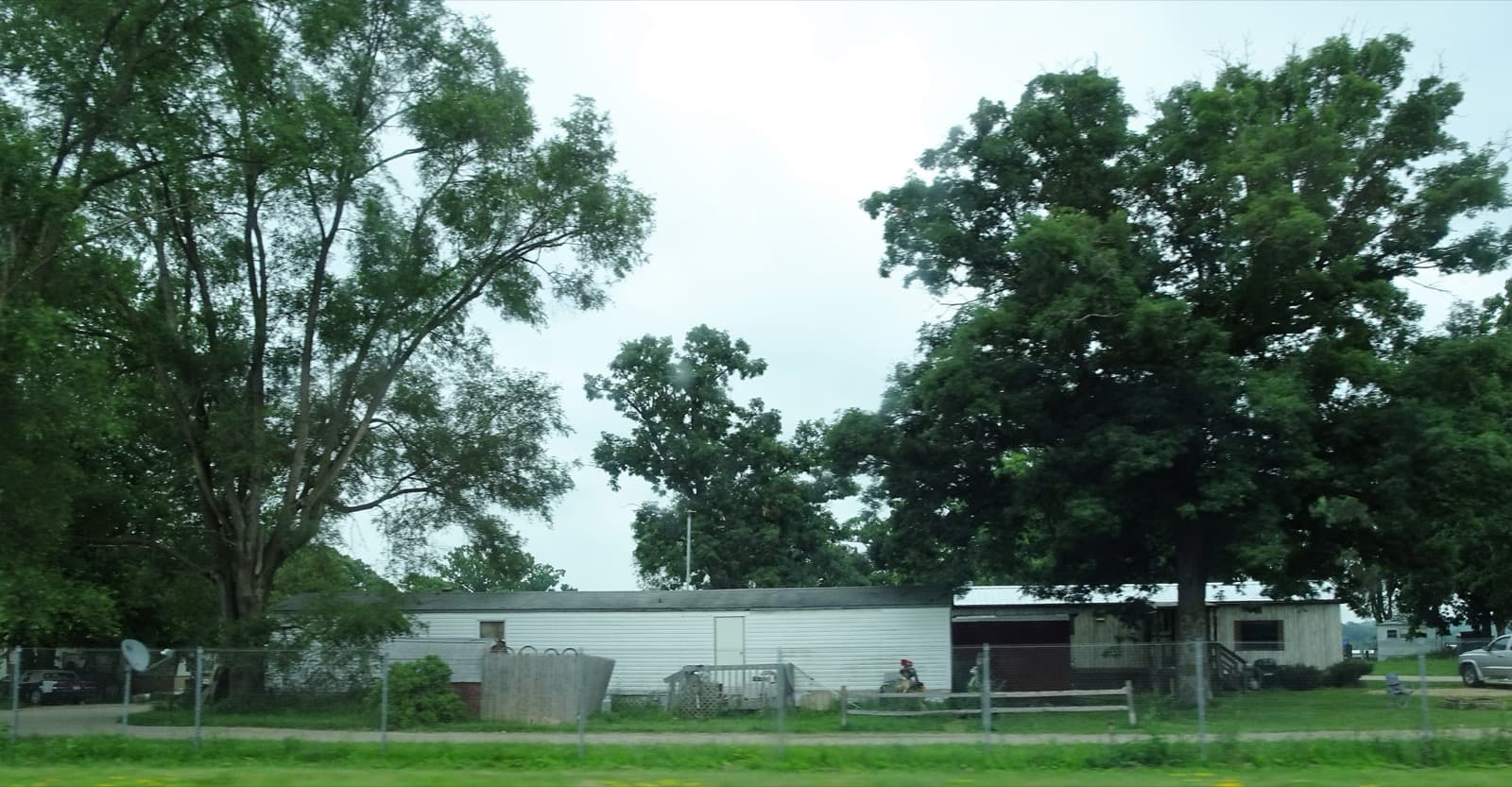 A tree-lined manufactured home park on a summer day
